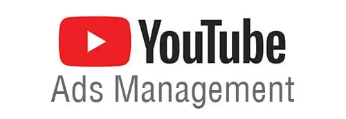 YouTube Video Ads Consultation